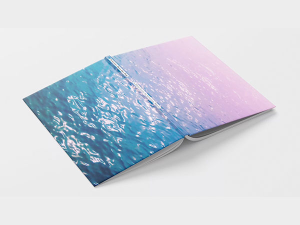 Trieste: Enter the Fog Book